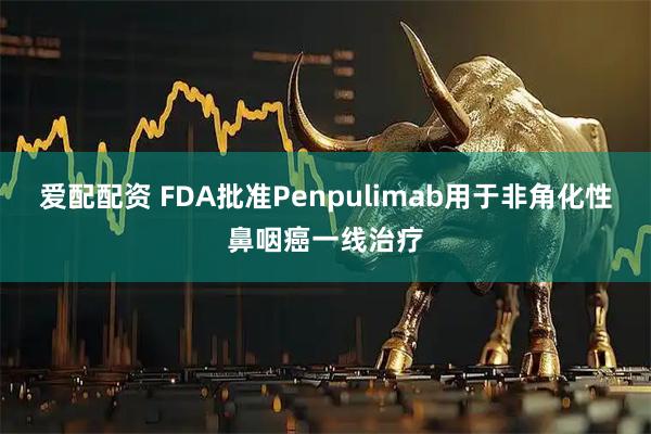 爱配配资 FDA批准Penpulimab用于非角化性鼻咽癌一线治疗
