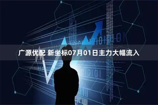 广源优配 新坐标07月01日主力大幅流入