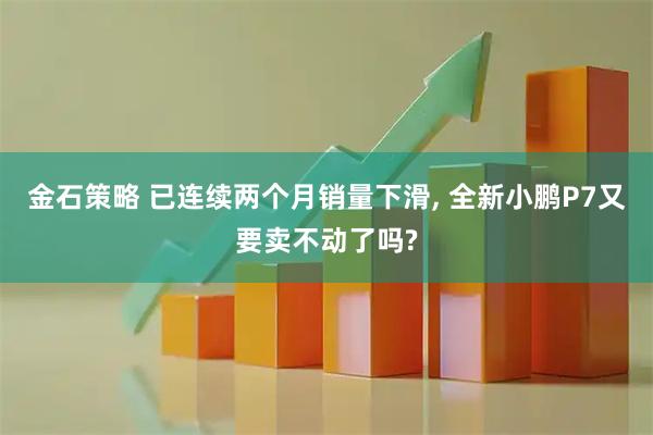 金石策略 已连续两个月销量下滑, 全新小鹏P7又要卖不动了吗?