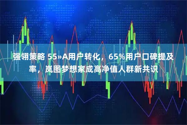 强翎策略 55�A用户转化，65%用户口碑提及率，岚图梦想家成高净值人群新共识